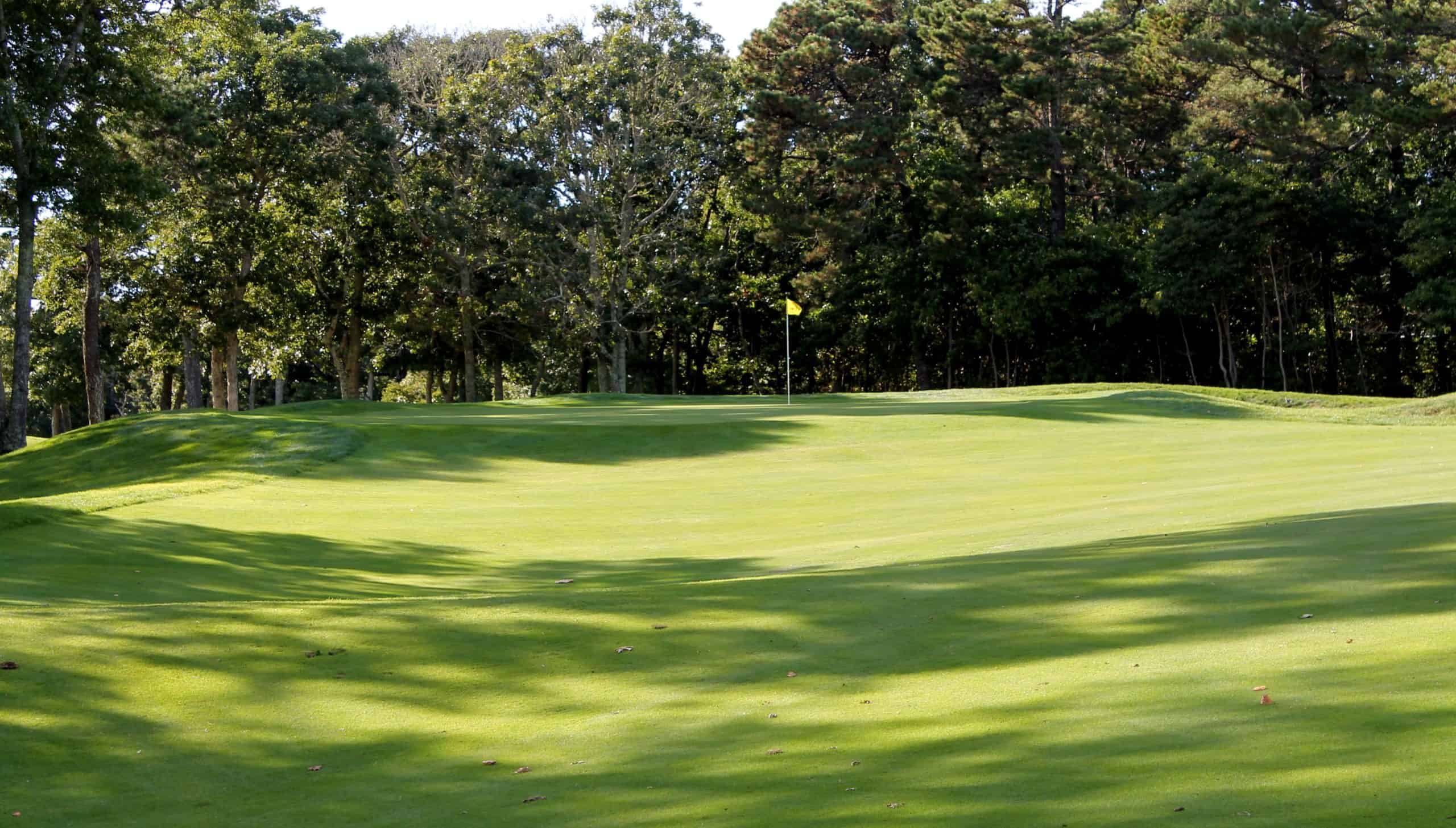 Hole Seventeen Port Course The Captains Golf Course