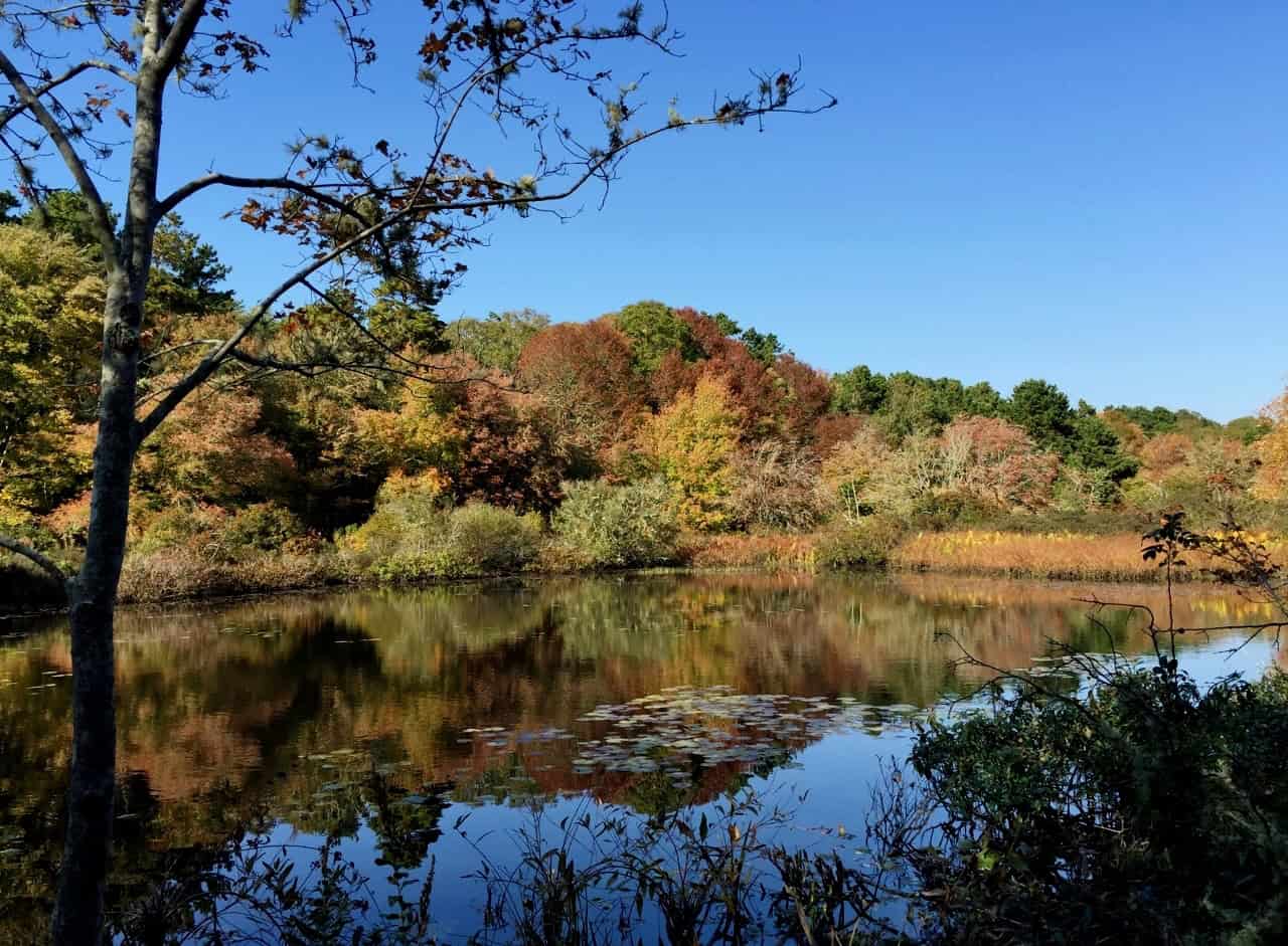 hiking trails on cape cod