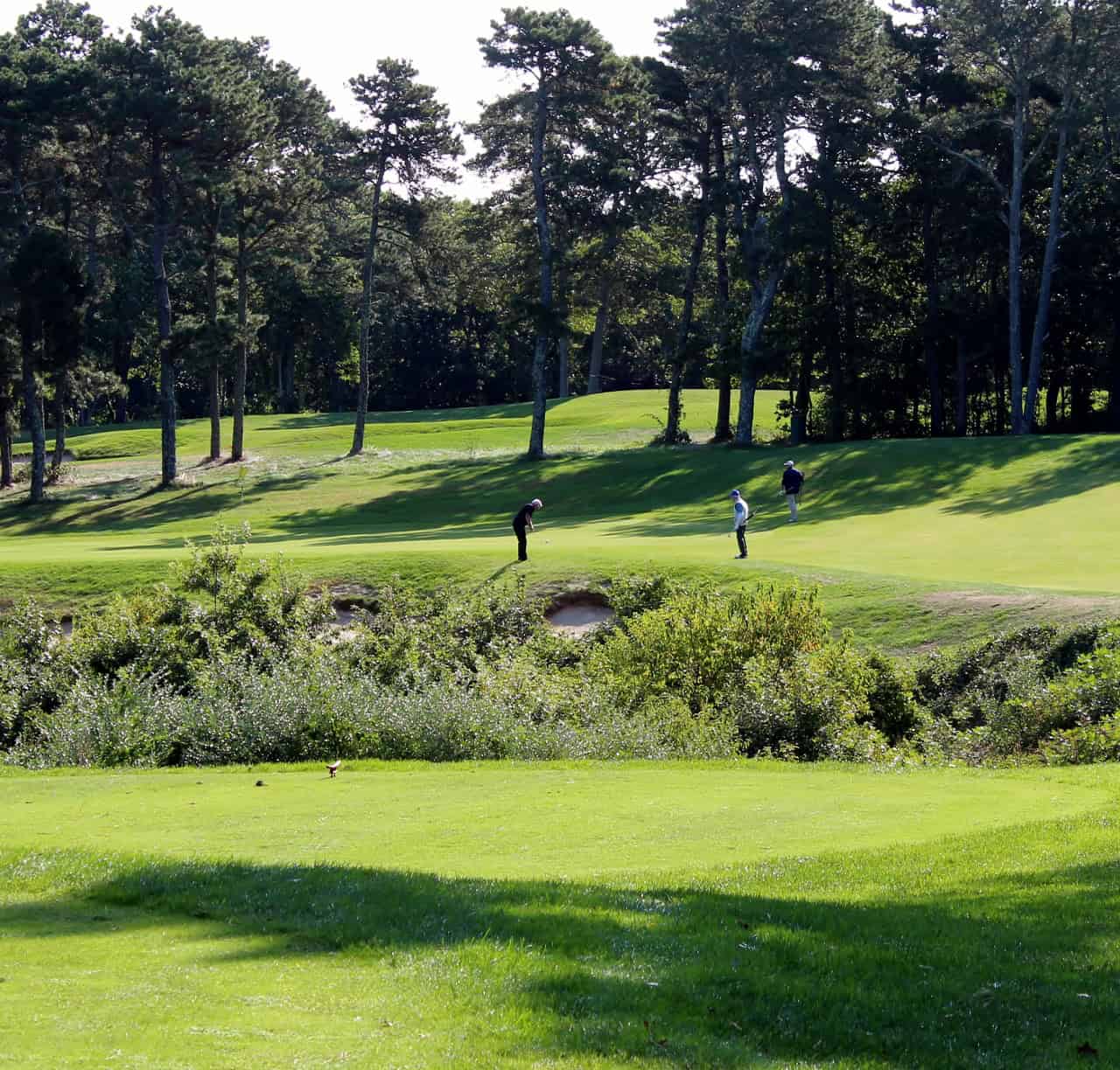 Photo Gallery Cape Cod Golf Course The Captains Golf Course